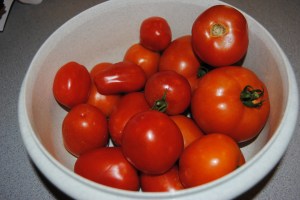 There is nothing better than a vine ripened, fresh picked tomato!!  Yummy!!!!!