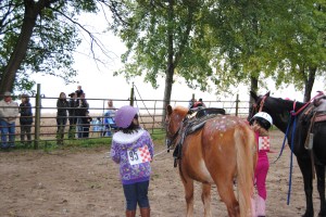 Lili was #95 and patiently waiting with Cooper to here the results of Paint Your Pony.