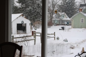 Can you see their clings on the window?