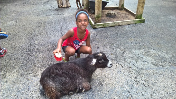 WP_20150615_11_01_12_Pro