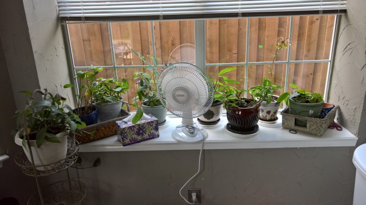 WP_20160704_15_01_52_Pro [183706]