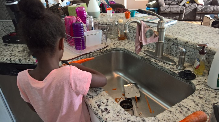 WP_20160705_18_00_46_Pro [288676]