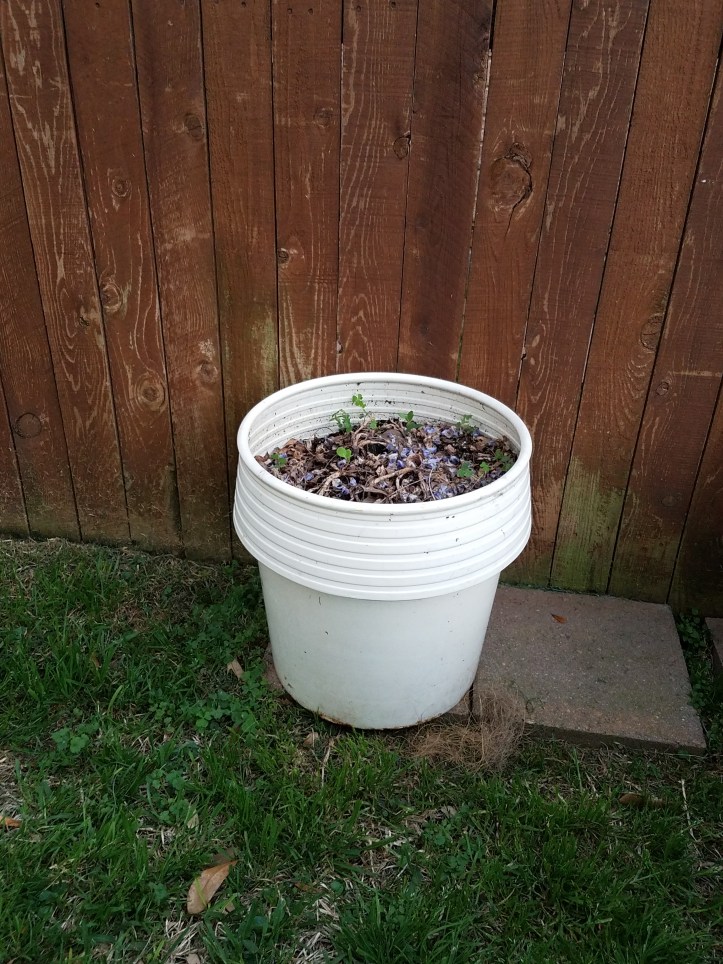 20170320_193328[2664]